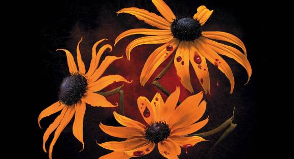 «Янтарные цветы» Джулии Хиберлин – триллер, который нельзя пропустить!