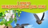 Читаем книги о птицах в Международный день птиц