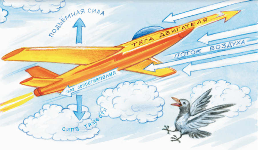 Иллюстрация из книги «Почему самолет не падает?»