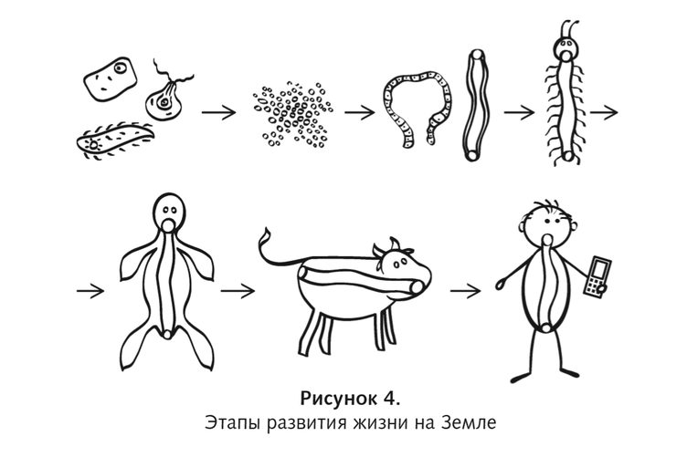 Книга кармацкого психосоматика. Доказательная психосоматика Кармацкий.