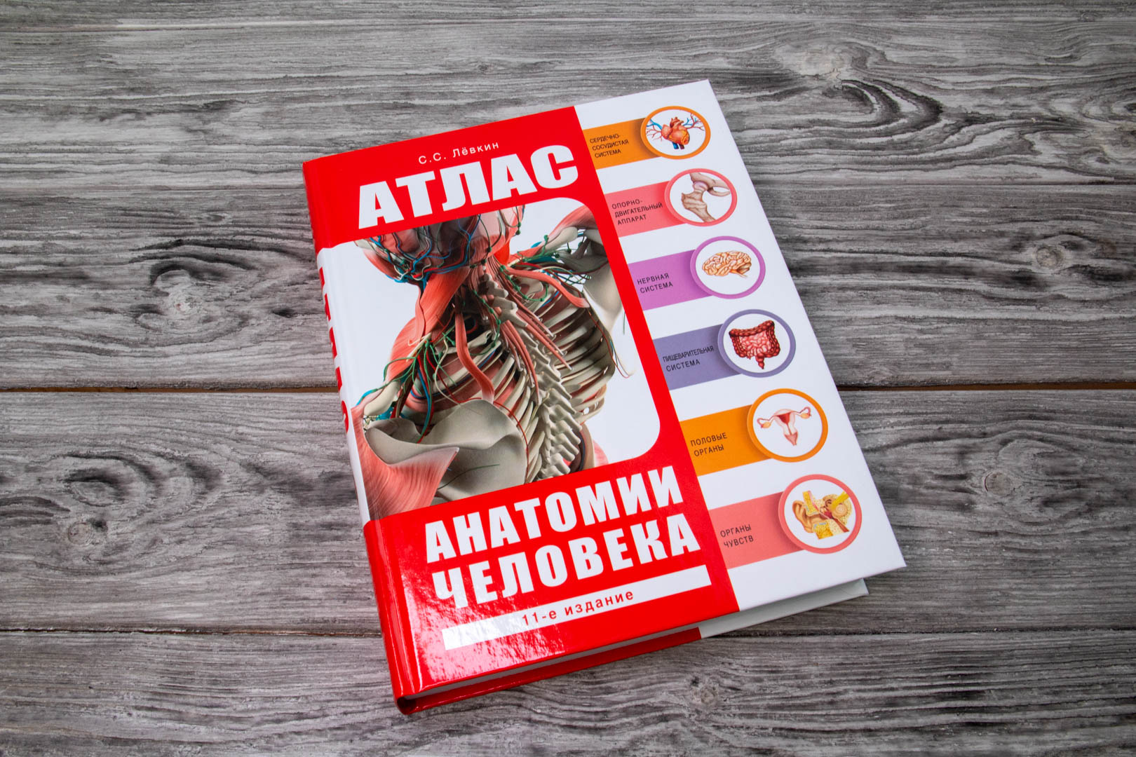 «Атлас анатомии человека» Лёвкин Сергей Сергеевич - описание книги ...