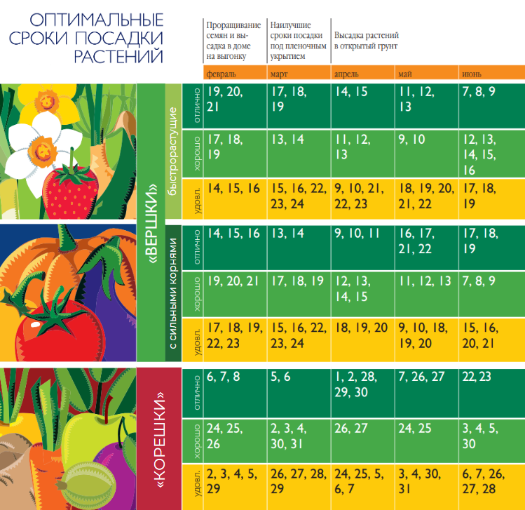 посадочный календарь на 2024 год садовода и огородника