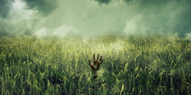 Кадр из фильма «В высокой траве»