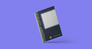 Белый квадрат Сорокина