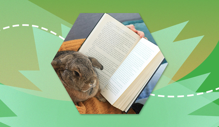 Новинки недели: возвращение 2007‑го, русские сказки и Парк Горького