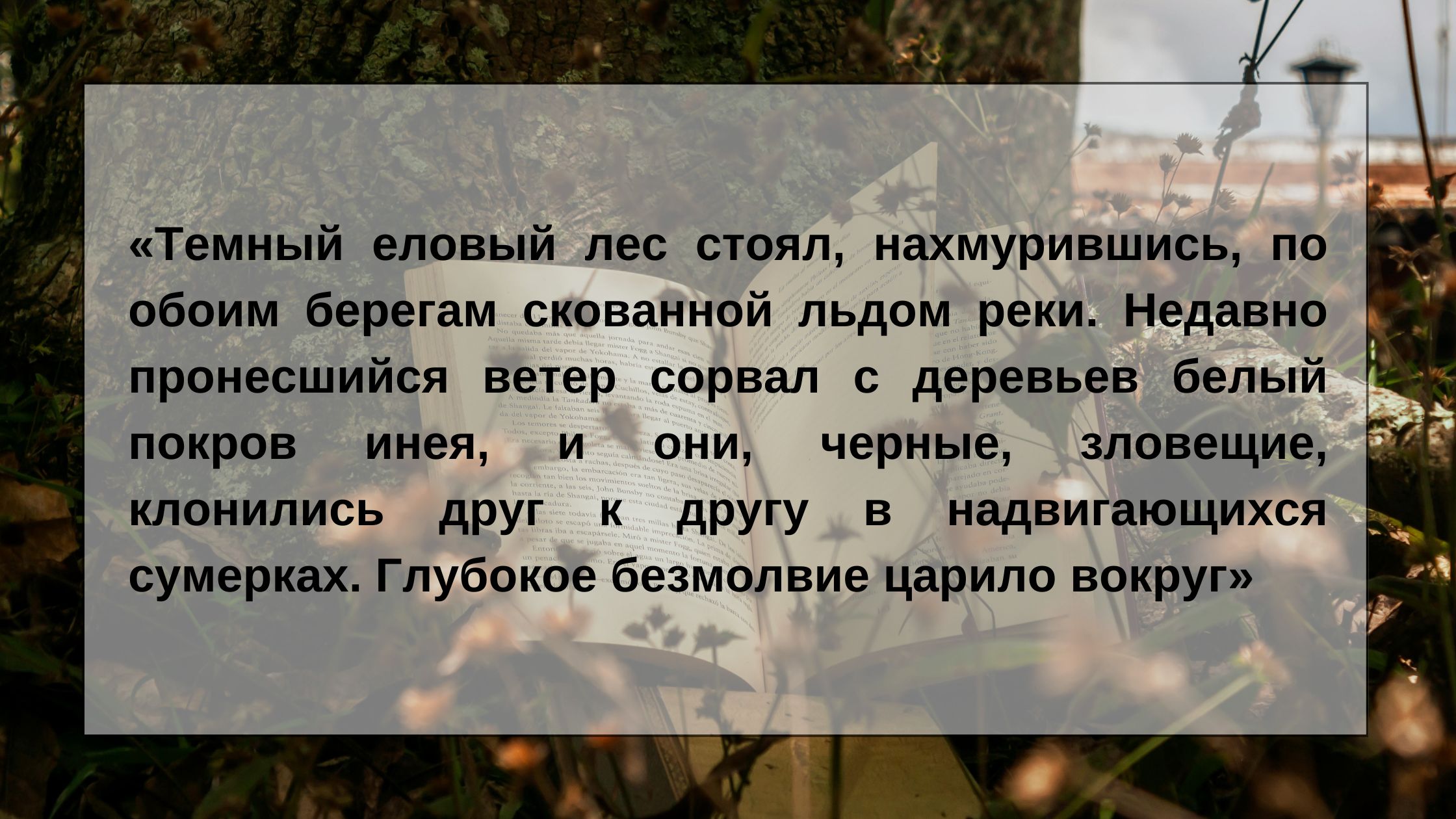 Вопрос 1. Из какой книги эта цитата?