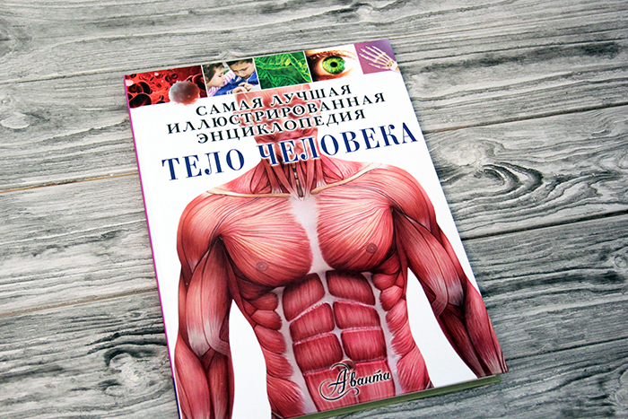 Книги по анатомии для детей | Мама зануда