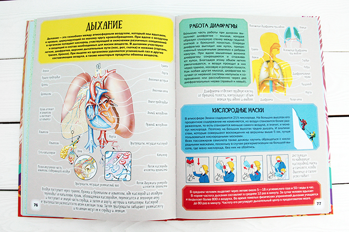 Детский иллюстрированный атлас анатомии человека