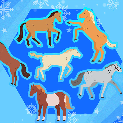 Тест «Из какой книги эта лошадь?»