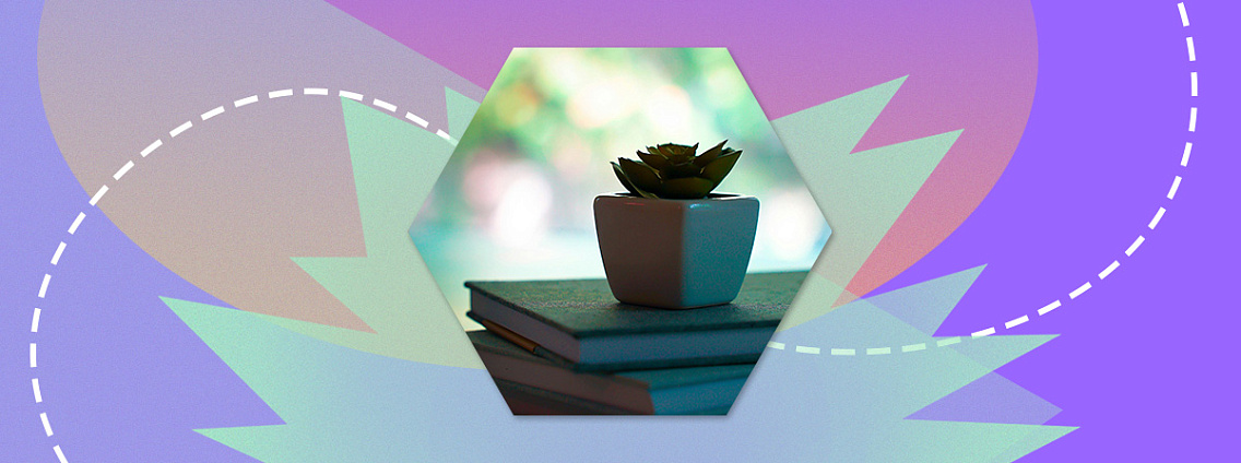 Дайджест новостей 19.02 — 25.02