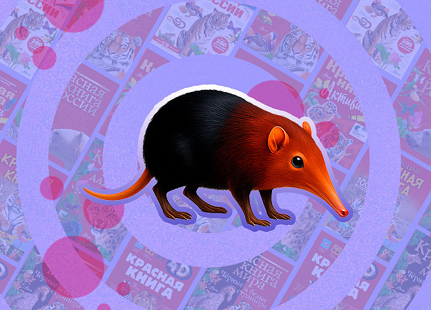 Хоботковая собачка и другие милые животные из Красной книги