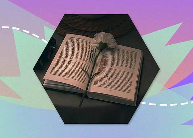 Дайджест новостей 09.12 — 15.12