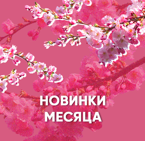 Новинки месяца